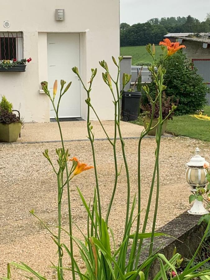 Gite Les Combes Terrasse 01340 Etrez Bresse Vallons Exterior photo
